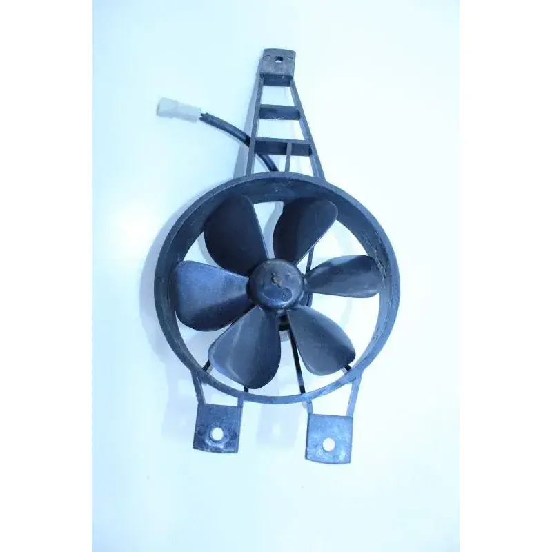 Quantité Limitée Ventilateur PEUGEOT GEOPOLIS 125 2007 - 2010
