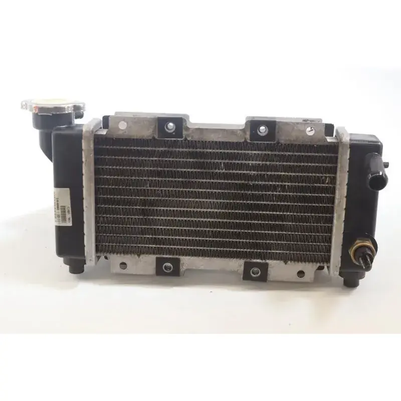 Radiateur eau SYM HD 200 EVO 2008 - 2008 Quantité Limitée
