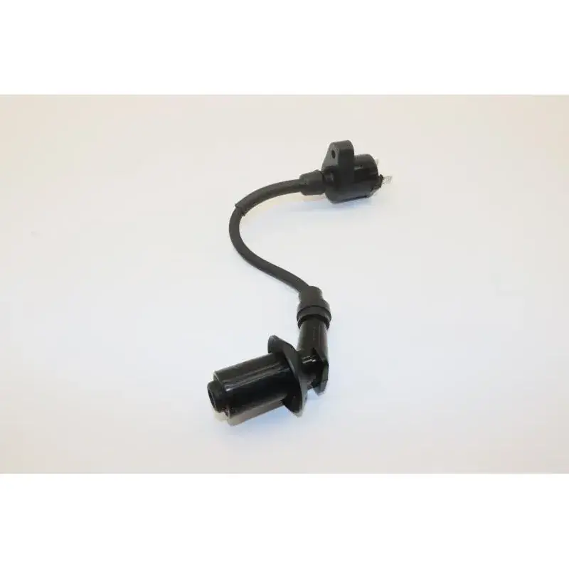 Authentique Bobine allumage PEUGEOT LUDIX 50 2012 - 2017