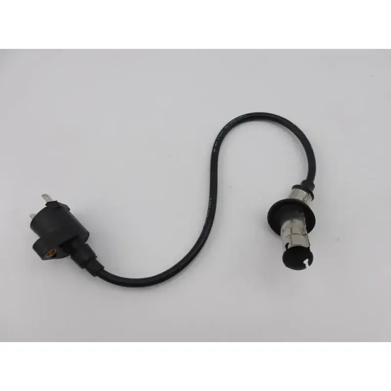 Bobine allumage EUROCKA GTR 50 2011 - 2014 Offre Du Jour