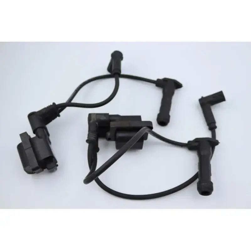 Bobine allumage DUCATI MULTISTRADA 1100 S 2007 - 2009 Haute Qualité
