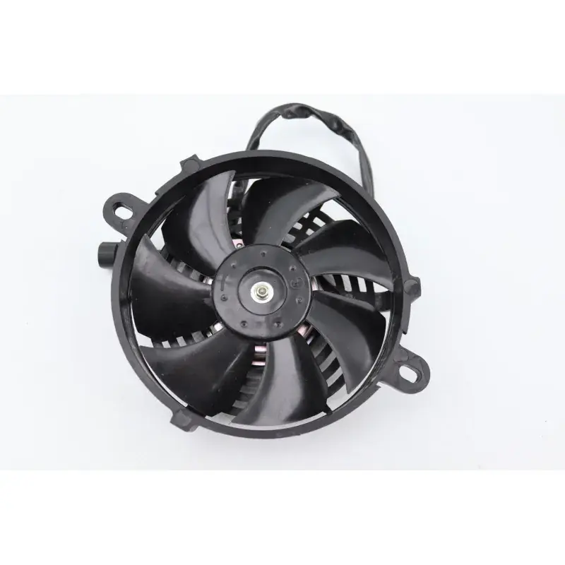 Usine Directe Ventilateur MALAGUTI XSM 50 2019 - 2020