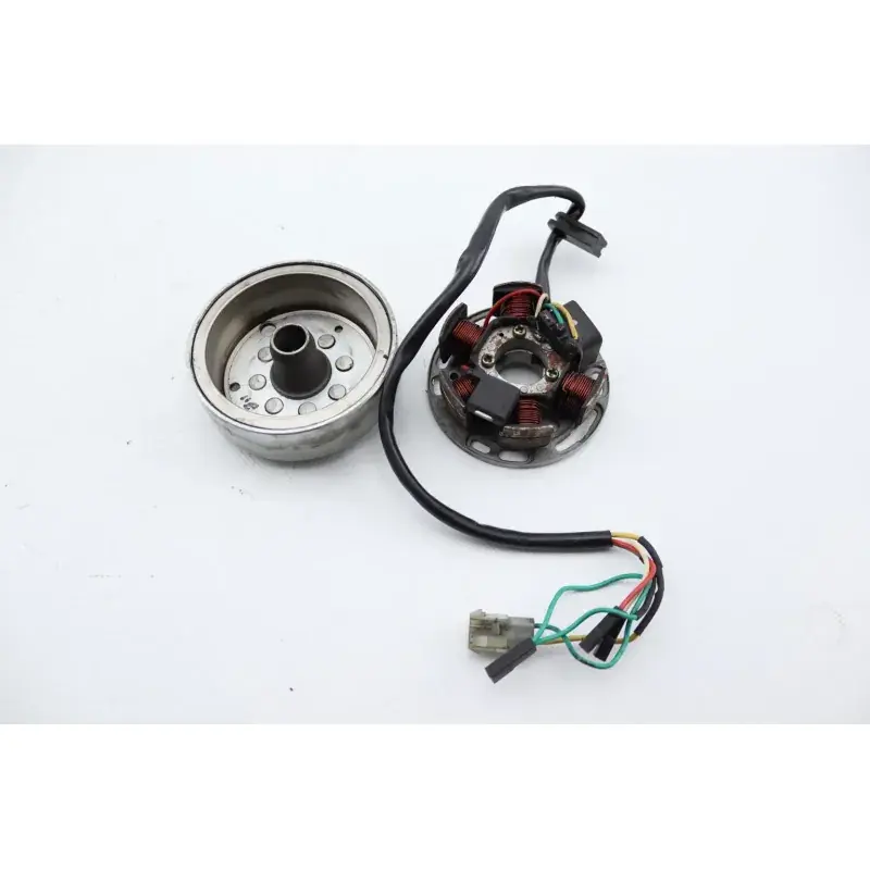 Rotor volant moteur GILERA RCR 50 2006 - 2010 Certifié