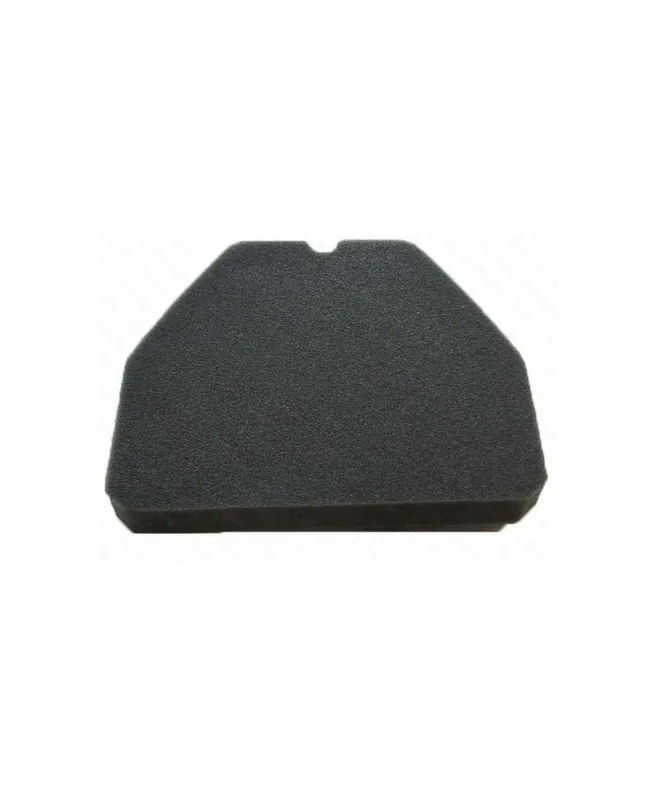 Filtre à air RP17211-413-000 Must-Have