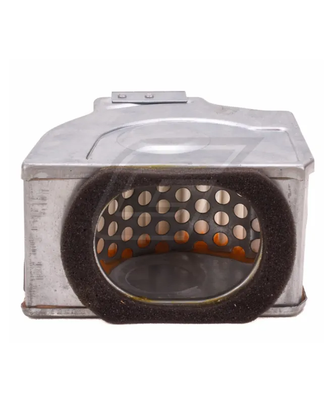 Filtre à air RP17210-390-003 Satisfait Ou Remboursé